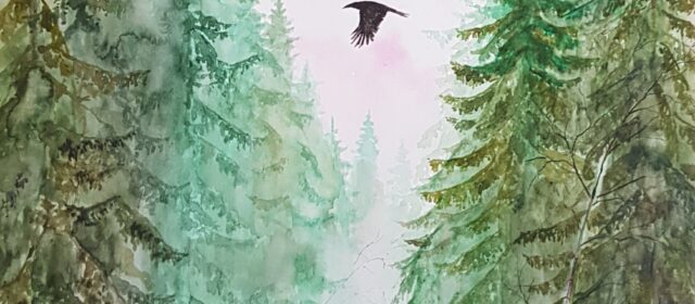 Catharina Holmberg